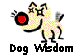  Dog Wisdom 