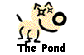  The Pond 